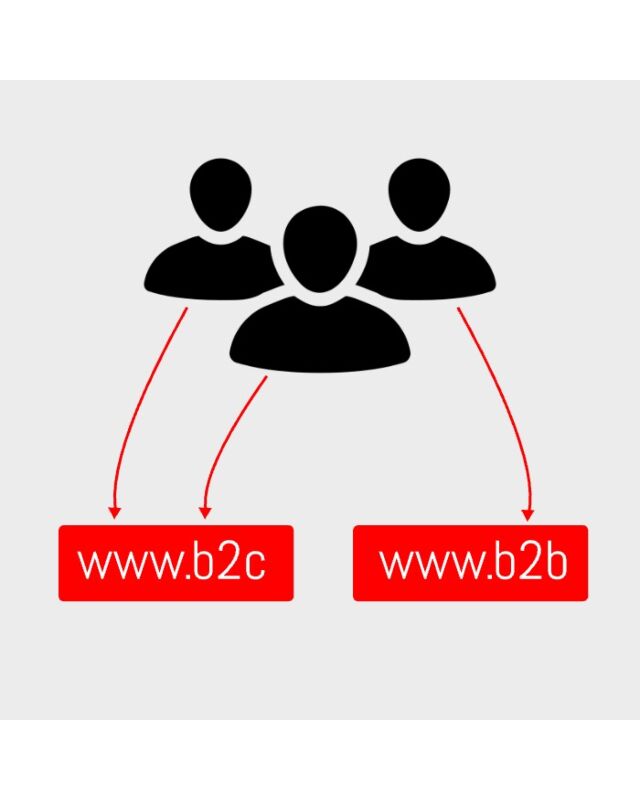 Módulo Magento para redirigir al cliente después de iniciar sesión según el grupo de clientes a la tienda adecuada
