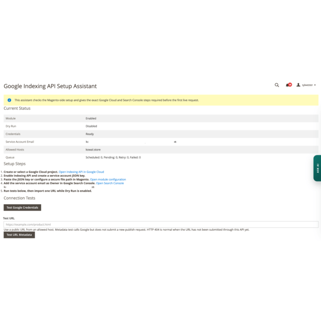 Google Indexing API dla Magento 2